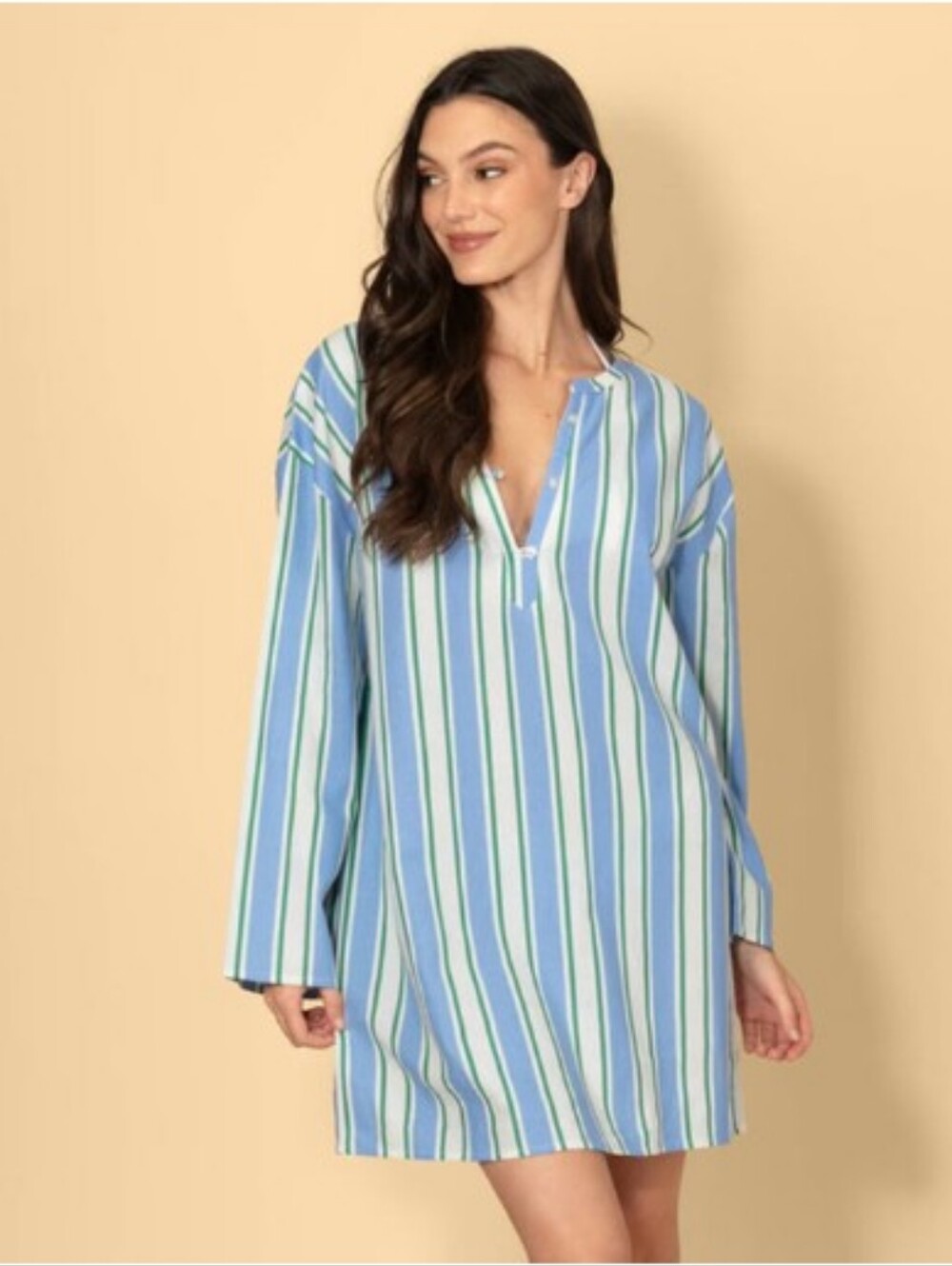 Solid & Striped Long Sleeve Shirtdress